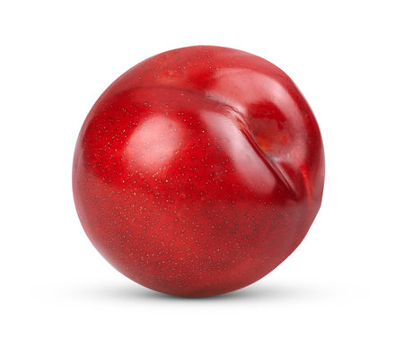plum isolated on white backgroundの写真素材