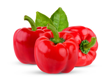 Pepper isolated on white backgroundの写真素材