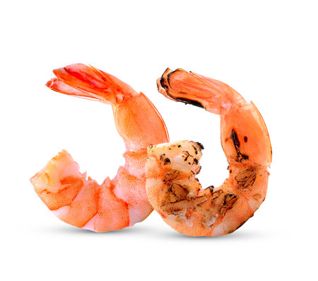 shrimps isolated on white backgroundの写真素材