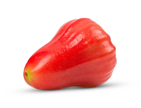 Rose apple isolated on white backgroundの写真素材