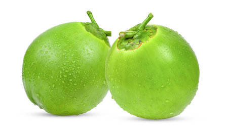 Green coconut isolated on white backgroundの写真素材