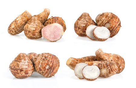 taro root isolated on white backgroundの写真素材