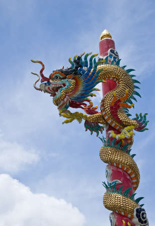 Dragonの写真素材