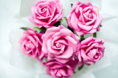 Paper pink rosesの写真素材