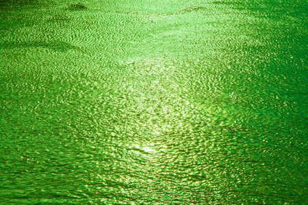 Green ripple backgroundの写真素材