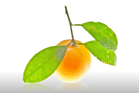 Orange with leaves isolated on whiteの写真素材