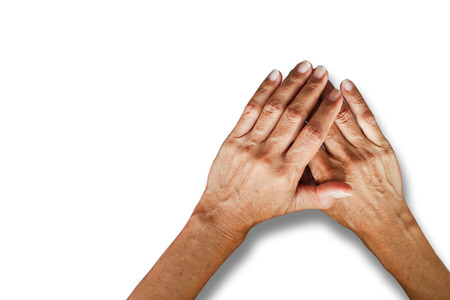 Female hands isolated on whiteの写真素材