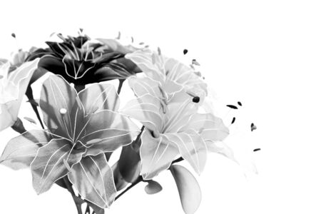 Lily artificial flowersの写真素材