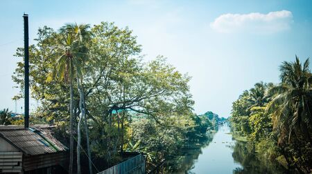 Landscape coconut trees with canal in natural countrysideの写真素材