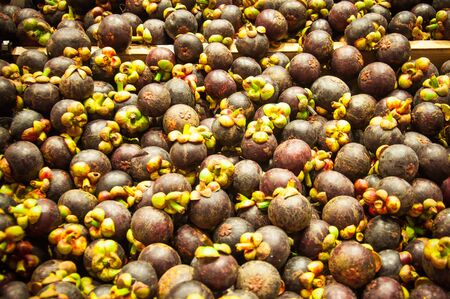 Group of mangosteen pattern, Backgroundsの写真素材