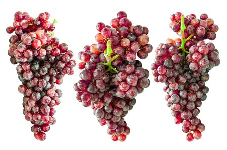 Red grape isolated on whiteの写真素材