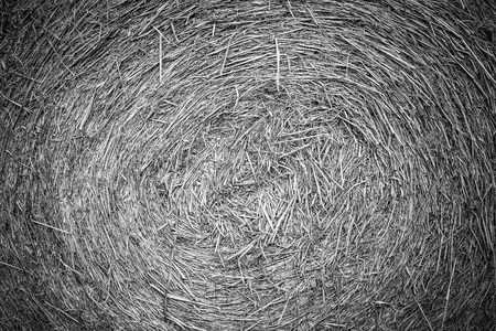 Details close up shot of Wheat Haystack in farmer field, Pattern background