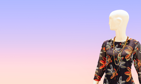 The woman statue in fashion costume to show in fashion storesの写真素材