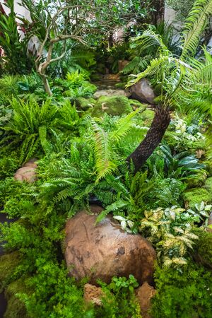 Beautiful gardens adorned with trees rocks and streams background, By human hands skillの写真素材