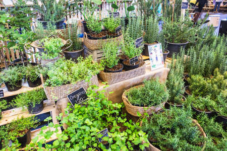 The booth selling horticulture in the Home and Garden Exhibition 2020 at BITEC Bangna, Bangna-Trad road Bangna Bangkok Thailand, August 13, 2020のeditorial素材