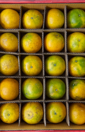 The tangerines are arranged in a corrugated box, fruit backgroundの写真素材
