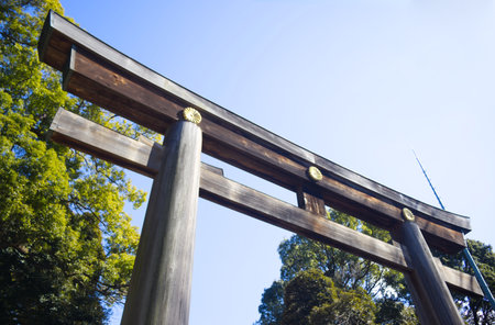 Torii gate with blue sky at Meiji Jingu Shrine in Yoyogikamizonocho, Shibuya, Tokyo, Japanの写真素材