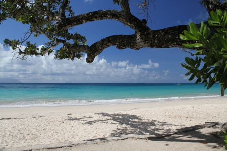 Beachの写真素材