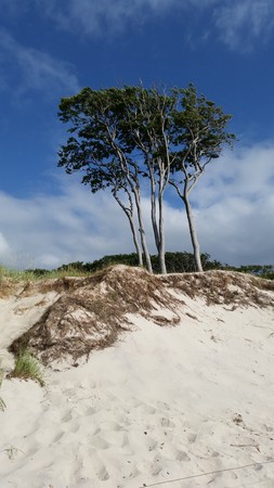 Beachの写真素材