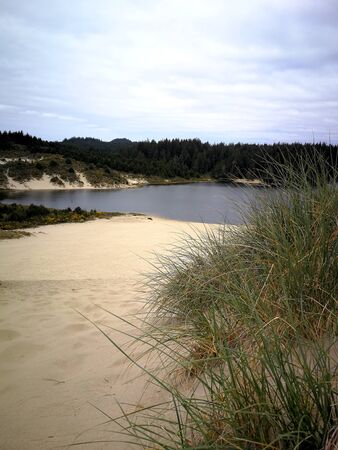 Sand dunes with cloudy weatherの写真素材