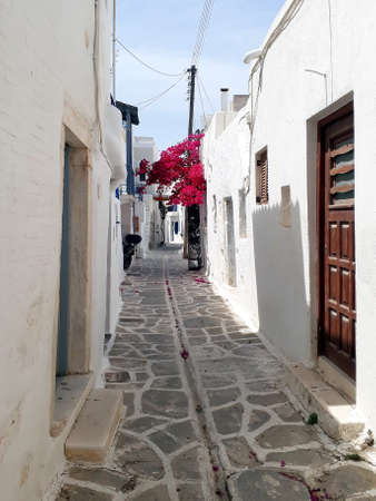 Beautiful alley of an island in Greece, Parosの写真素材