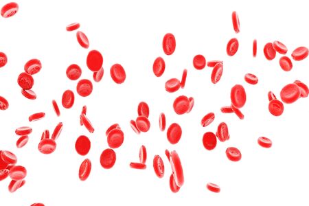 Red blood cells isolated on whiteの写真素材