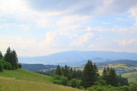 Summer forrest, meadows and fields countryside landscape in Slovakia.