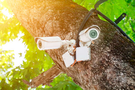 old white outdoor video surveillance cameras cctv installed in several directions for easy monitoring of order in the Parkの写真素材