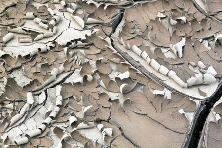 dried cracked surface of earth with sprouting grass in cracks