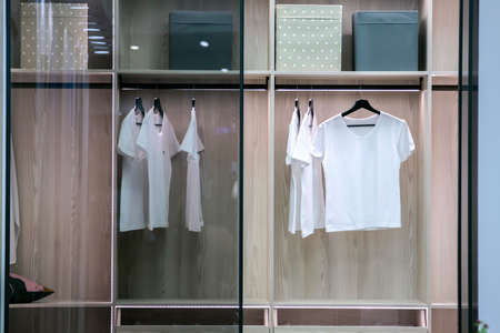 modern wooden wardrobe with glass doors and fashionable lighting, decorative interior decorations, artificial flowers in boxes and hangersの写真素材