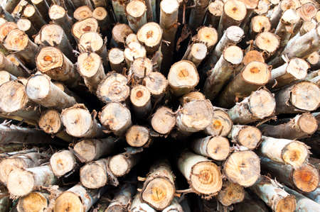 stack of firewoodの写真素材