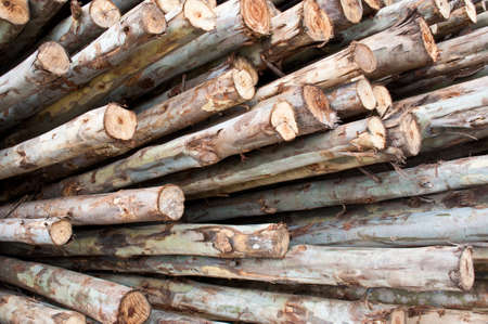 stack of firewoodの写真素材