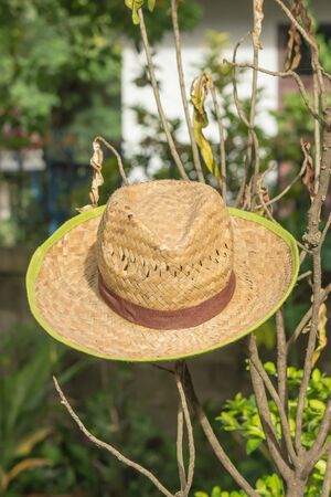 Hat is wearable  To the casting and the sun の写真素材