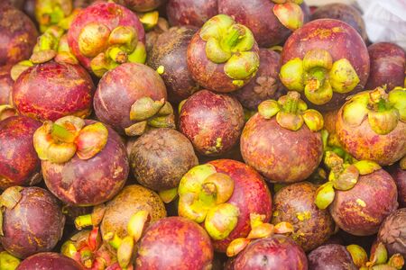 Mangosteen known as the queen of fruits in Thailandの写真素材