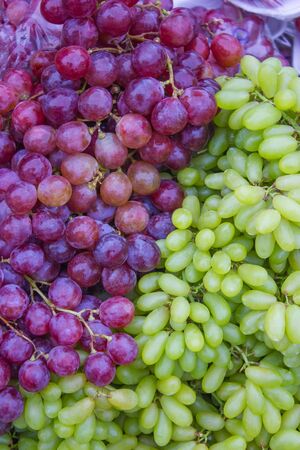 Grape fruit Edible both fresh and made into juice Anti-oxidants and cancerの写真素材