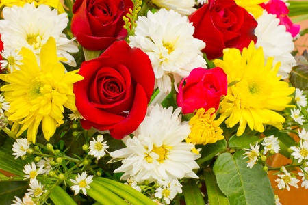 No matter where the flowers are  To the natural beauty as well の写真素材