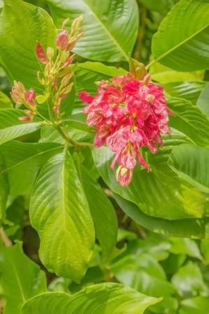 No matter where the flowers are  To the natural beauty as well 