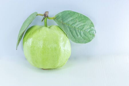 Guava is a fruit that contains vitamin Cの写真素材