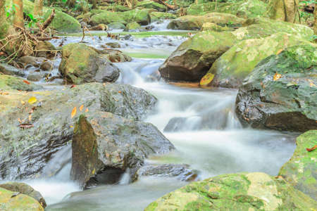 Forests and waterfallsの写真素材