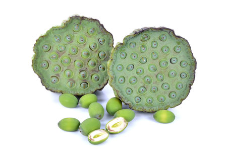 lotus seed pods on white backgroundの写真素材