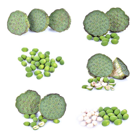 Freshness Lotus seed and podの写真素材
