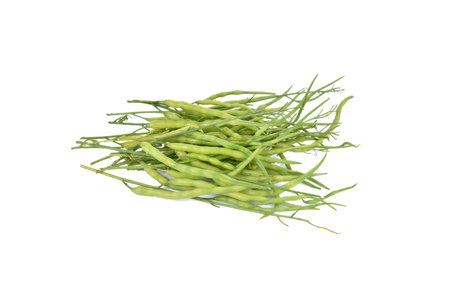 Raphanus sativus Linn. var. caudatus Alef isolated on white backgroundの写真素材