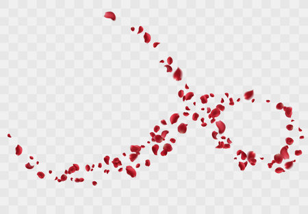 Red rose petals fall to the floor. Isolated vector illustrationのイラスト素材