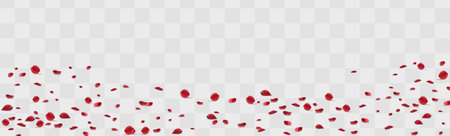 Valentine's day Vector red symbols of love border for romantic banner or Red rose petals will fall on abstract floral background with gorgeous rose greeting card design. on transparent backgroundのイラスト素材