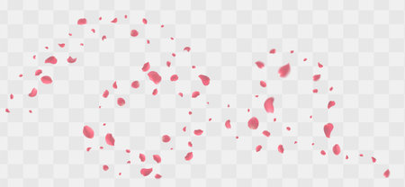 Valentine's day Vector red symbols of love border for romantic banner or Red rose petals will fall on abstract floral background with gorgeous rose greeting card design. on transparent backgroundのイラスト素材