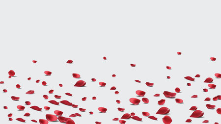 Floating red rose petal isolated on white. Background concept for love greetings on valentines day and mothers day. Space for text. rose for love Beautiful floralのイラスト素材