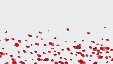 Floating red rose petal isolated on white. Background concept for love greetings on valentines day and mothers day. Space for text. rose for love Beautiful floralのイラスト素材