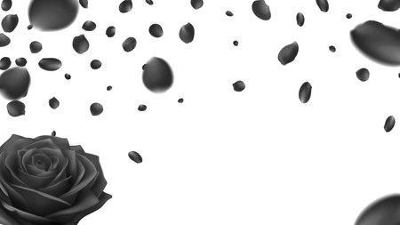 Black Rose. background Flower on a White Background. Mesh Gradient was usedのイラスト素材