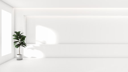 The interior design of a minimal white room to place products and products. and trees add shady atmosphere in the room Under the concept of simple design to place the product. 3d renderingの写真素材