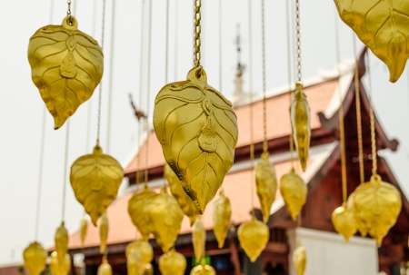 Art  Bo leaves gold hanging rams a multiple の写真素材